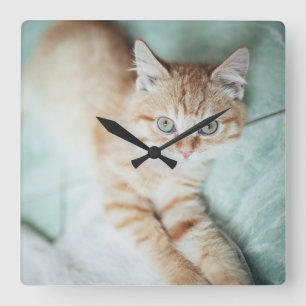 Reloj Cuadrado A Golden Color Kitten Lying Down