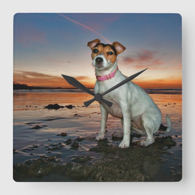 Reloj Cuadrado A Jack Russell Sitting Beach | Brighton Beach (Anverso)