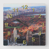 A view from above: Autumn in Central Park 01