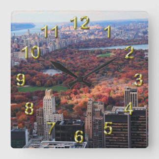 Reloj Cuadrado A view from above: Autumn in Central Park 01