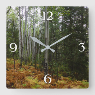 Reloj Cuadrado Abedules y Helechos de Otoño en Rocky Mountain