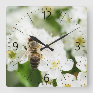 Reloj Cuadrado Abeja sentada en una flor de primavera