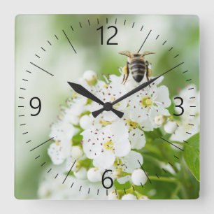 Reloj Cuadrado Abeja sentada en una flor primaveral