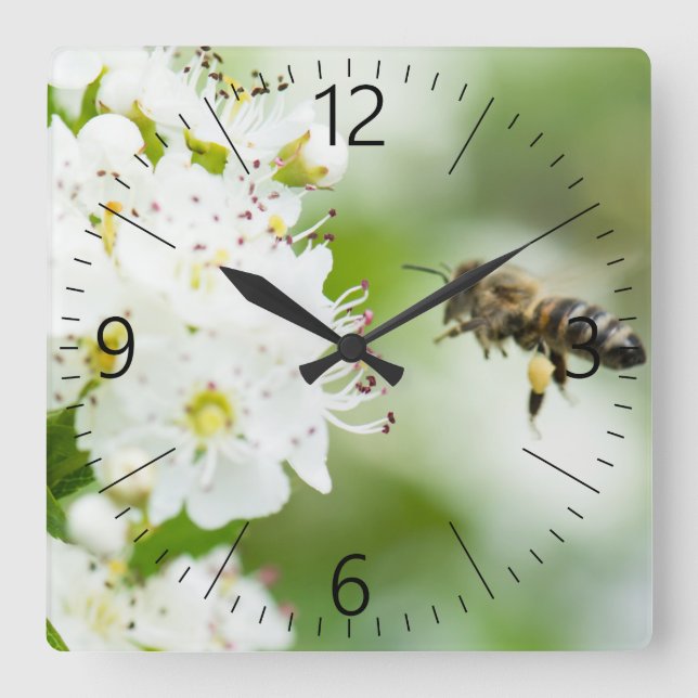 Reloj Cuadrado Abeja volando a la flor de primavera (Anverso)