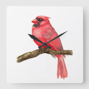 Reloj Cuadrado acuarela de ave cardinal