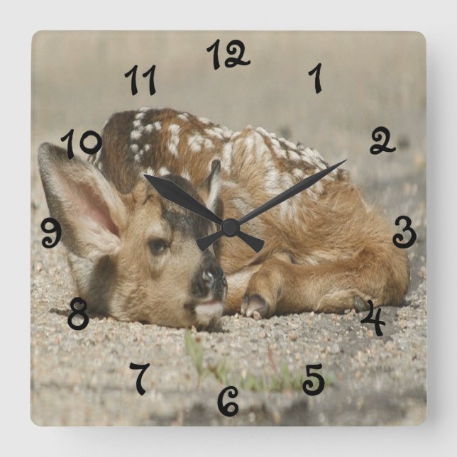 Reloj Cuadrado Adorable Baby Fawn (Anverso)