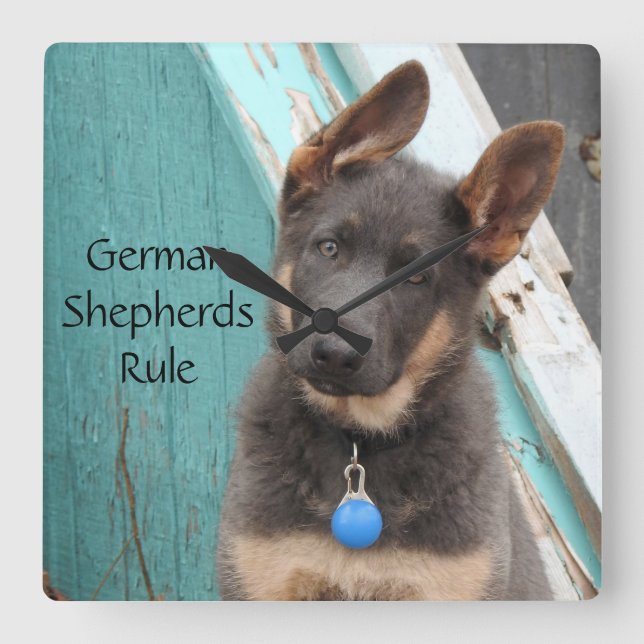 Reloj Cuadrado Adorable Pastor de Pastor Alemán Azul (Anverso)