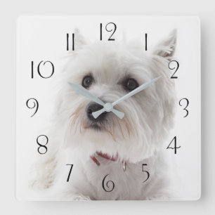 Reloj Cuadrado Adorable White West Highland Terrier