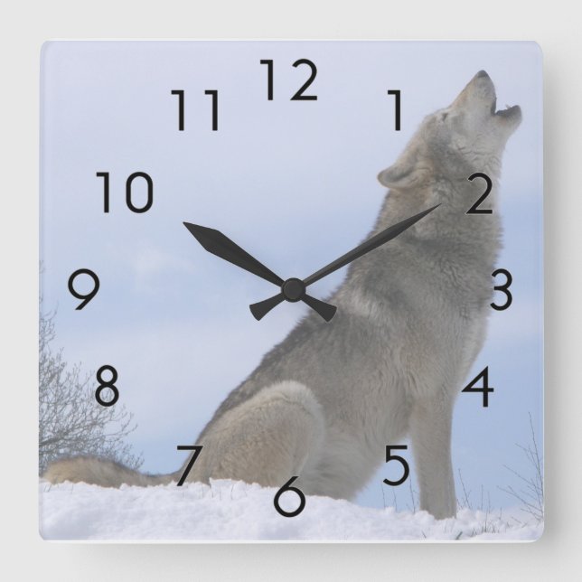 Reloj Cuadrado Afeitado de lobo gris de invierno (Anverso)