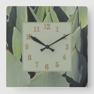 Reloj Cuadrado Agave verde deja foto botánica al suroeste