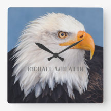 Águila calva americana con tu texto