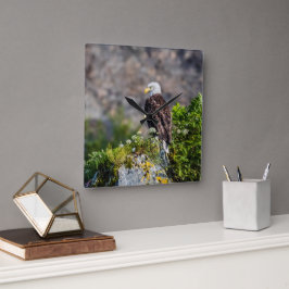 Reloj Cuadrado Águila calva sentada en la roca