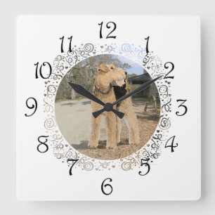 Reloj Cuadrado Airedale en la yarda estable