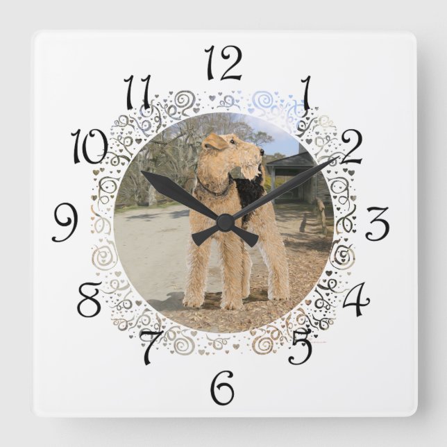 Reloj Cuadrado Airedale en la yarda estable (Anverso)