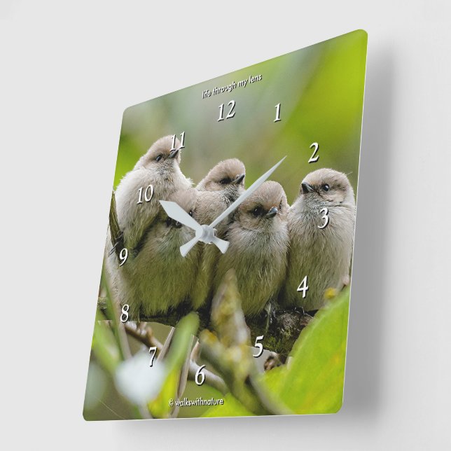 Reloj Cuadrado Alarmante foto de la familia Songbirds de los anim (Ángulo)