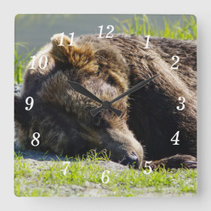 Reloj Cuadrado Alaska Grizzly Dormido Bear Wall Clock