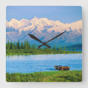 Reloj Cuadrado Alce macho en Wonder Lake