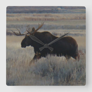 Reloj Cuadrado Alces del M2 Bull