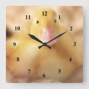 Reloj Cuadrado Alegre bebé de Pascua de Pato Amarillo Duckland