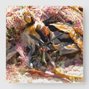 RELOJ CUADRADO ALIMENTACIÓN