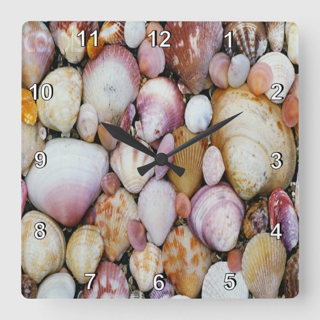 Reloj Cuadrado Almeja Shell (Anverso)