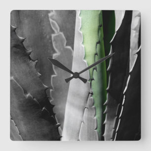 Reloj Cuadrado Áloe - Foto de Bella Artes de macros en blanco y n