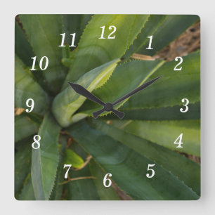 Reloj Cuadrado Aloe Vera Wall Clock
