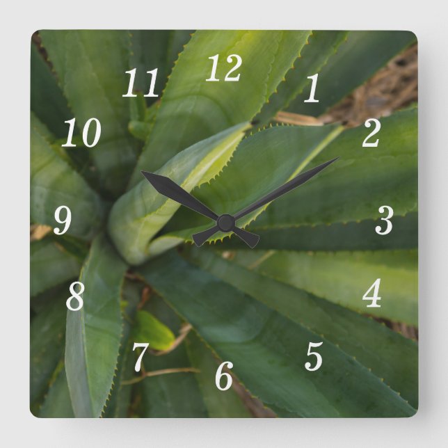 Reloj Cuadrado Aloe Vera Wall Clock (Anverso)