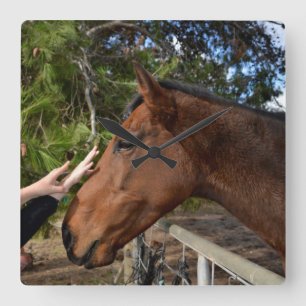 Reloj Cuadrado Amando Un Caballo Marrón Grande,