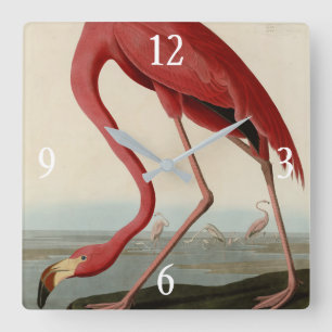Reloj Cuadrado American Flamingo from Audubon's Birds of America