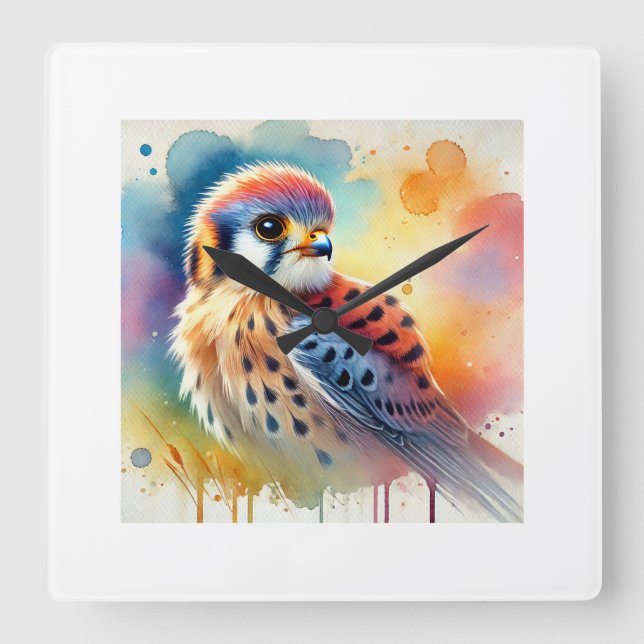 Reloj Cuadrado American Kestrel 160724AREF106 - Watercolor (Anverso)