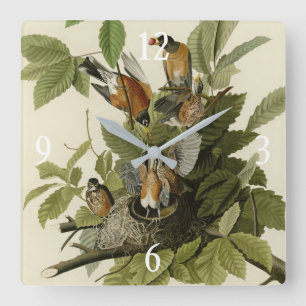 Reloj Cuadrado American Robin from Audubon's Birds of America