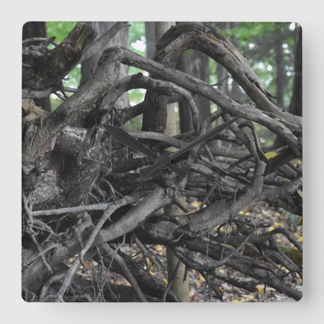 Reloj Cuadrado Amor a un árbol caído (Anverso)