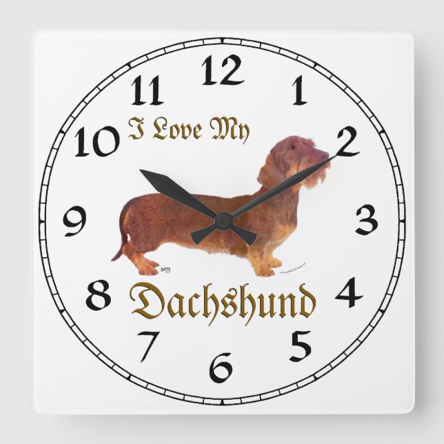 Reloj Cuadrado Amor de Dachshund (Anverso)