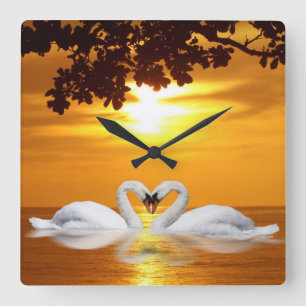 Reloj Cuadrado Amor del cisne