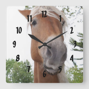 Reloj Cuadrado Animal belga lindo de la cara del caballo de