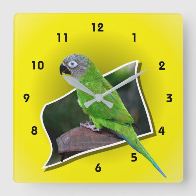 Reloj Cuadrado Animal de conejo de loro de cabeza Dusky (Anverso)