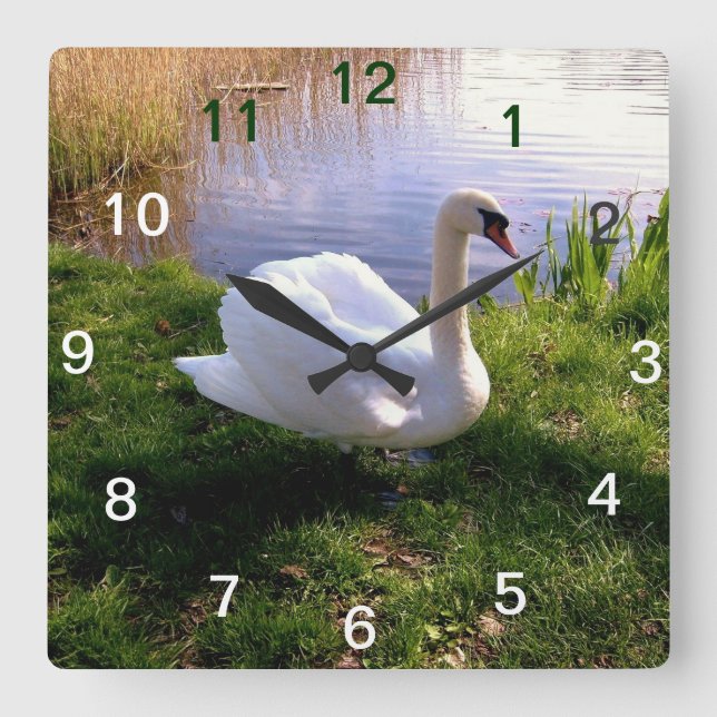 Reloj Cuadrado Animales (Anverso)