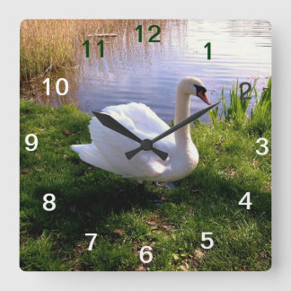 Reloj Cuadrado Animales