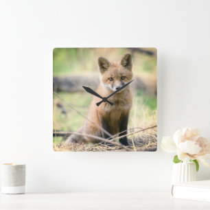 Reloj Cuadrado Animales de bebé más afectados Baby Fox