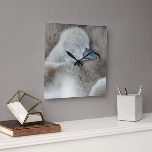Reloj Cuadrado Animales de bebé más afectados Baby Mute Swan
