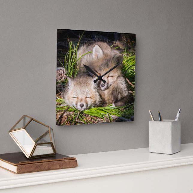 Reloj Cuadrado Animales de bebé más afectados | Bebé Red Fox Kits (Oficina)