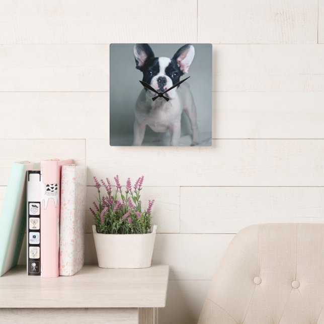 Reloj Cuadrado Animales de bebé más afectados | Cachorro de Bulld (Sala de lectura)