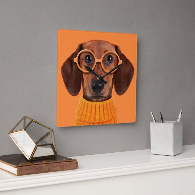 Reloj Cuadrado Animales de bebé más afectados | Dachshund Naranja (Oficina)
