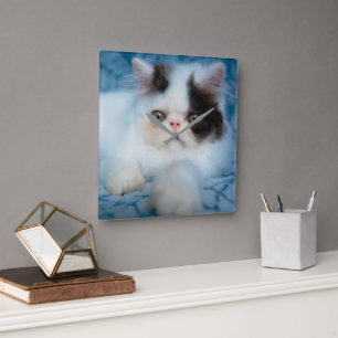 Reloj Cuadrado Animales de bebé más afectados   Gatito blanco y n