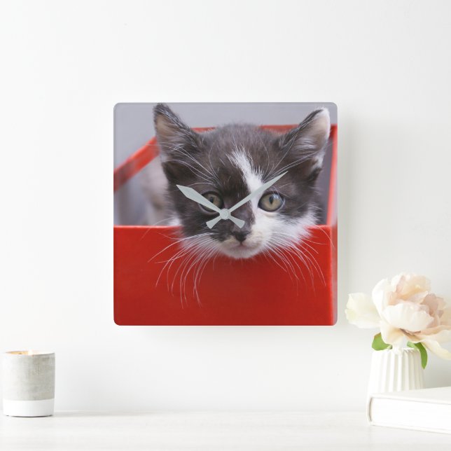 Reloj Cuadrado Animales de bebé más afectados | Gatito blanco y n (Hogar)