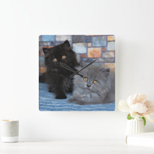 Reloj Cuadrado Animales de bebé más afectados Gatitos persas en