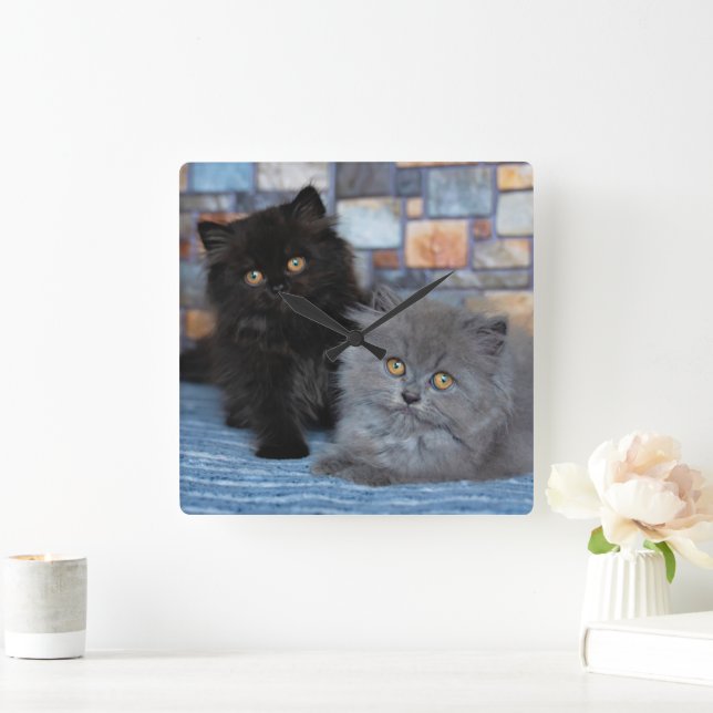 Reloj Cuadrado Animales de bebé más afectados | Gatitos persas en (Hogar)