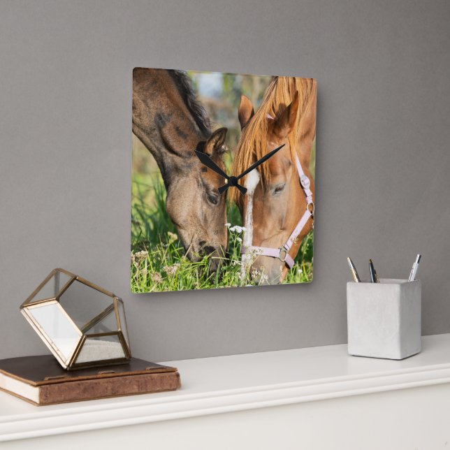 Reloj Cuadrado Animales de bebé más afectados | Horse Colt (Oficina)