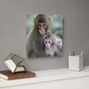 Reloj Cuadrado Animales de bebé más afectados   Monos japoneses